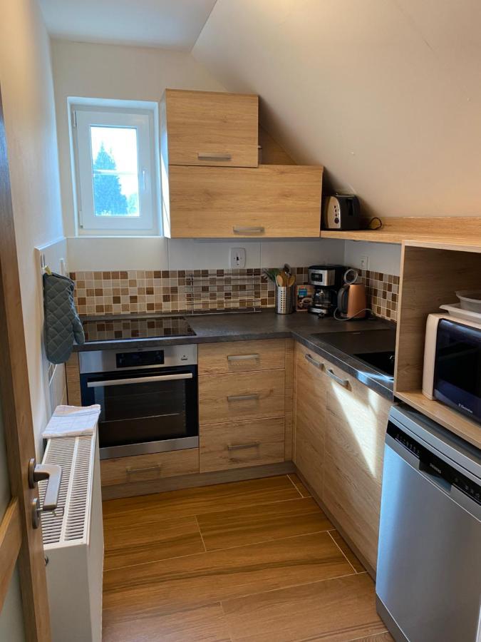 Apartman 430 Destne v Orlickych horach Ngoại thất bức ảnh